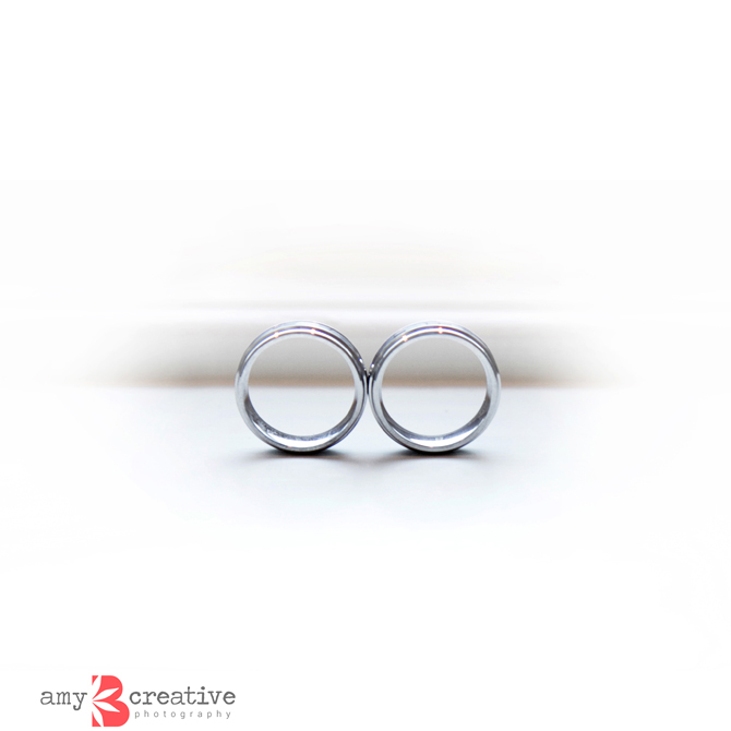 amyBcreative photography Schaumburg, Illinois LGBT Wedding Photographer