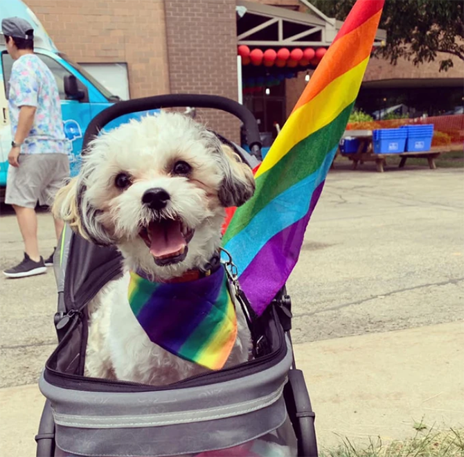Bolingbrook Pride
Bolingbrook, Illinois LGBTQ+
Wedding Officiants & Ceremony Site