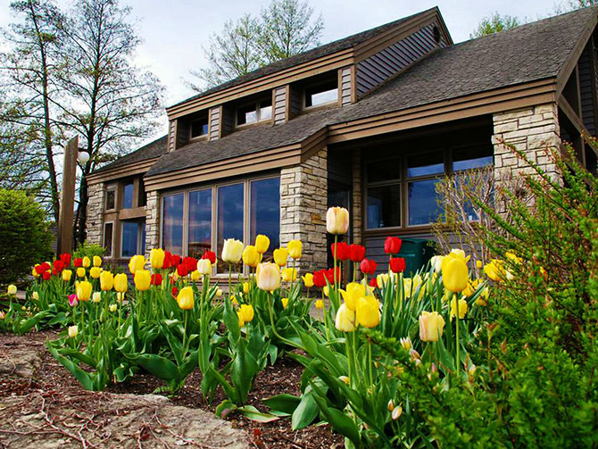 Eagle Ridge Resort & Spa - Tulips