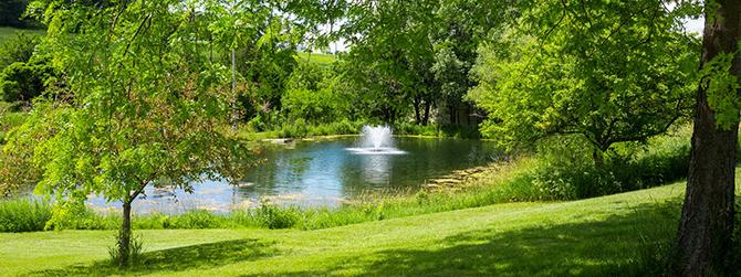 Hawk Valley Retreat and Cottages
Galena, Illinois LGBT Wedding Reception Site
Stress-Free Elopements in Galena, IL - Northwest Illinois Jo-Daviess County
