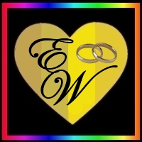 engayged weddings event chicago
