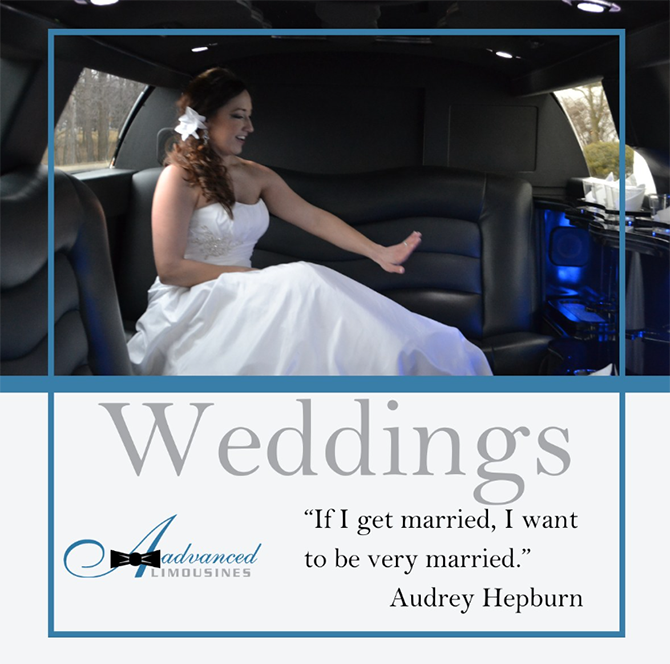 Aadvanced Limousines
Indianapolis, Indiana LGBT-Owned Wedding Limousine Business