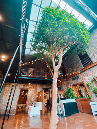 Rosy's Jazz Hall - New Orleans, Louisiana LGBT Weddings