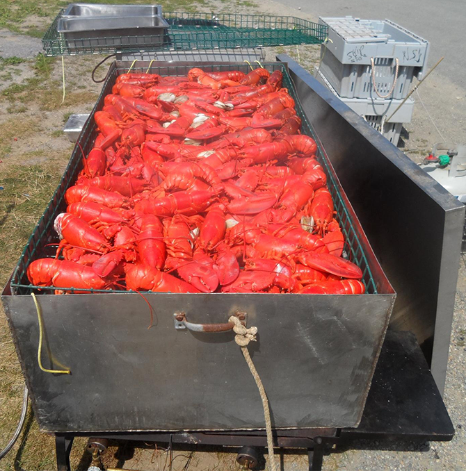 Coastal Critters Clambakes & Grilling
Northport, Maine LGBT Wedding Catering Business
Serving all of Maine - Specializing in Outdoor Wedding Reception Catering from Bar Harbor to Camden, Augusta, Belgrade Lakes, Boothbay Harbor, Portland and well beyond.