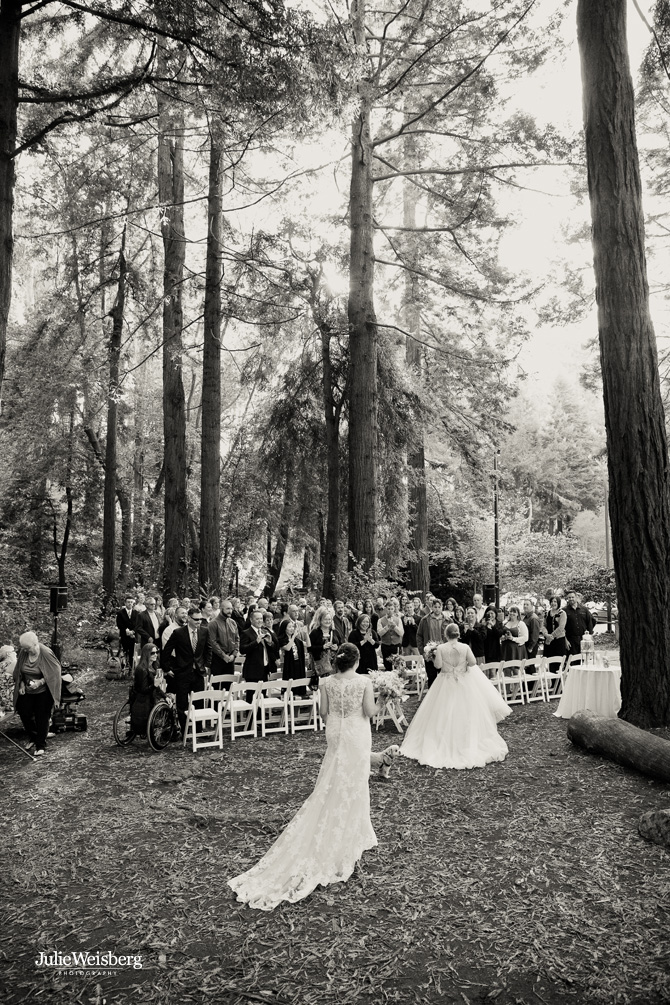 Julie Weisberg Photography