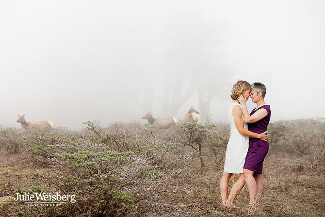LGBTQ Wedding Photographer Julie Wiesberg Photography
