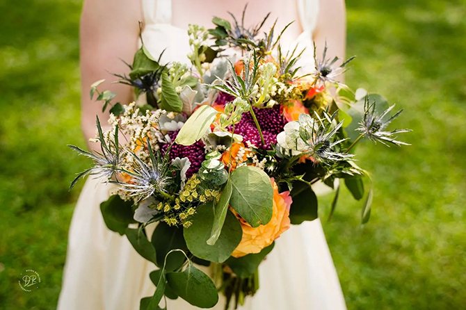 Green Dragonfly Events