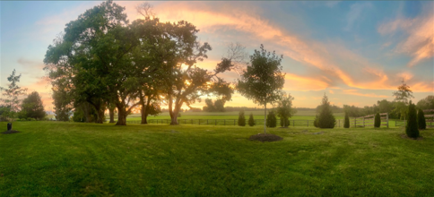 Montagu Meadows
Westminster, Maryland LGBT Wedding Reception Venue
Carroll County, Northern Maryland, Located about an hour from Baltimore