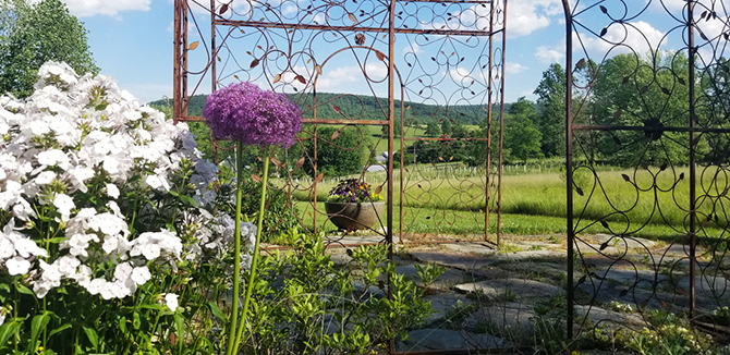 - Maryland Rustic Farm Weddings - Zigbone Farm Retreat