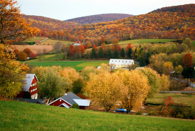 - Maryland Rustic Farm Weddings - Zigbone Farm Retreat