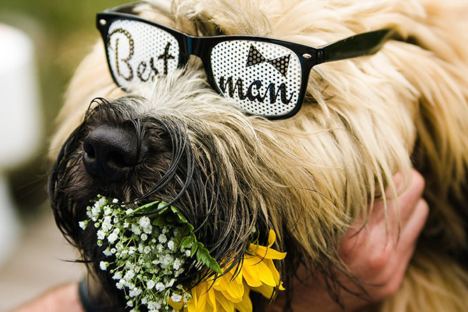 Martha's Vineyard - Vineyard Haven, Massachusetts - LGBT Wedding Officiant and Elopement Packages - My Vineyard Elopement
