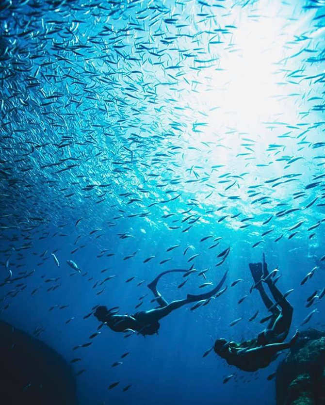 Mexico LGBT Destination Weddings - Cabo San Lucas - Los Cabos and La Paz - Sunrider Tours