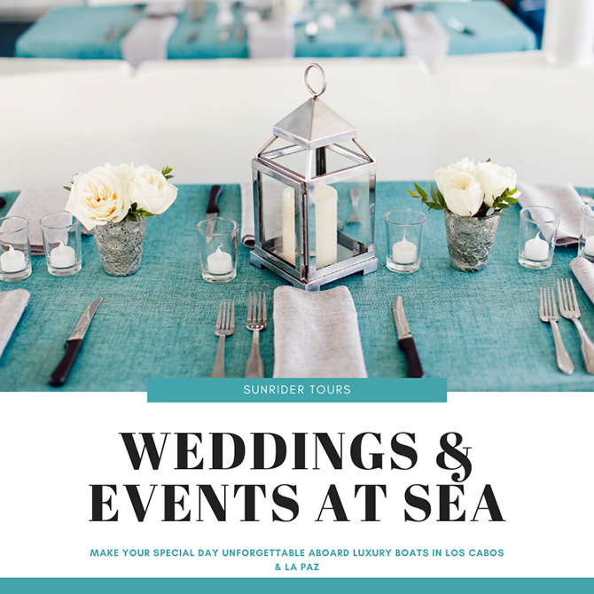 Mexico LGBT Destination Weddings - Cabo San Lucas - Los Cabos and La Paz - Sunrider Tours