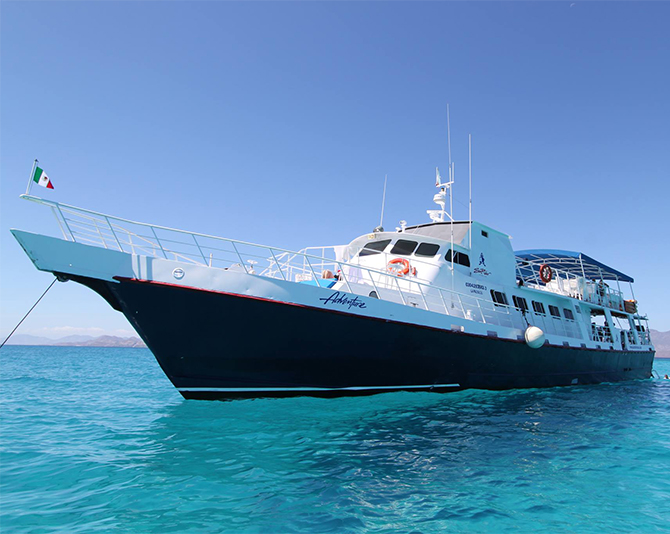Mexico LGBT Destination Weddings - Cabo San Lucas - Los Cabos and La Paz - Sunrider Tours