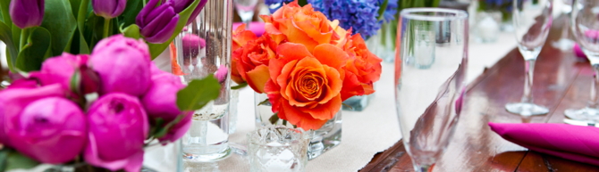 Lansing, Michigan LGBT Wedding Planner - Events and Moore
