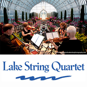 Twin Cities, MN LGBT Wedding Musicians - Lake String Quartet
