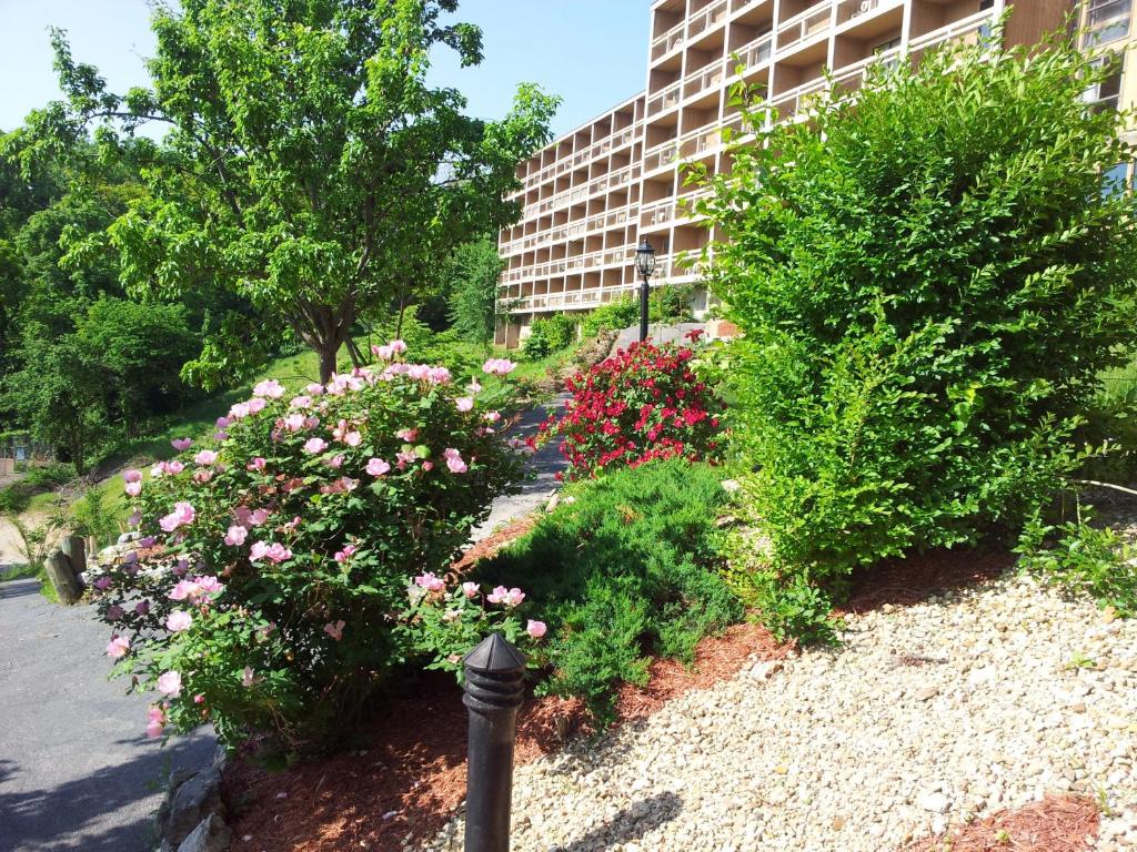 Inn at Grand Glaize
Osage Beach, Missouri LGBT Wedding Packages
Lake of the Ozarks, Osage Beach, MO, Fun Lake

