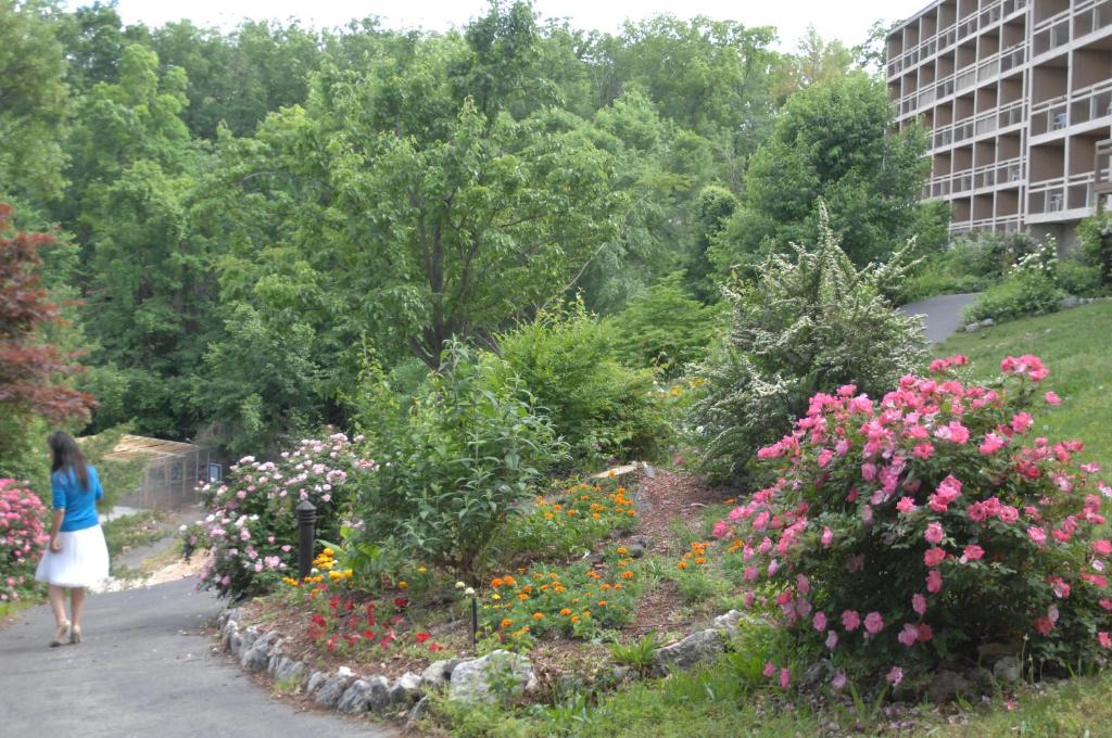 Inn at Grand Glaize
Osage Beach, Missouri LGBT Wedding Packages
Lake of the Ozarks, Osage Beach, MO, Fun Lake
