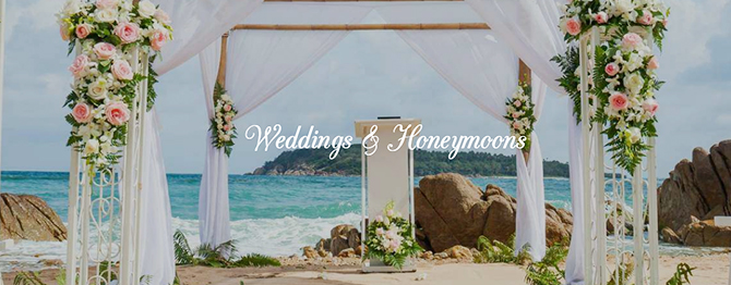 Weddings and Honeymoons - Presto Magic Travel - Cruise Travel Agent - LGBT Wedding Cruises and Honeymoons