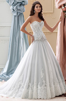 The Brides Shoppe - David Tutera Gowns