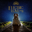 North Jersey LGBT Wedding Photographer