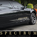 Central New Jersey LGBT Wedding Limo