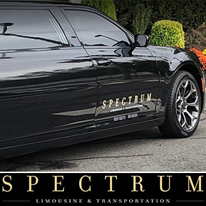 Central New Jersey LGBT Wedding Limo