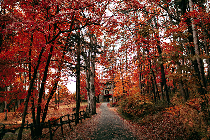 Hudson Valley, New York LGBT Weddings - Arrow Park
