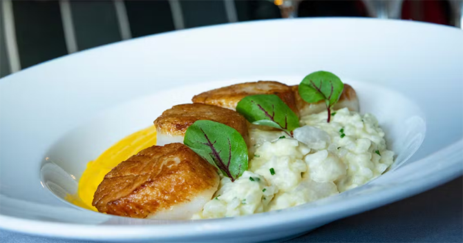 Blackstone Steakhouse
Melville, New York LGBT Wedding Receptions