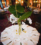 EM - Event Management - Large reception table centerpiece