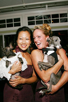 EM - Event Management - Lesbian couple with dogs in formal wear