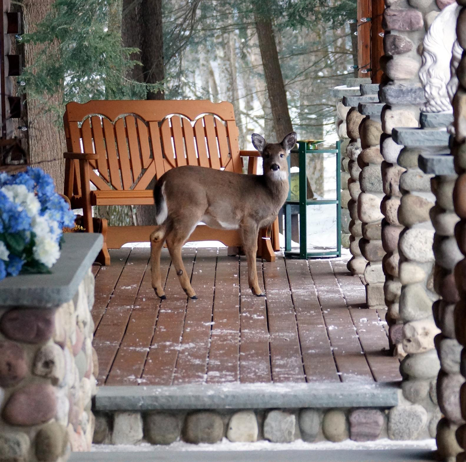 - Catskill Mountains New York LGBT Weddings - Estates by Brophy