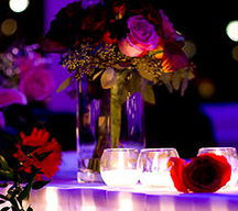Blissful Events Jessica Autrey LGBT Wedding Planner Edmond oklahoma