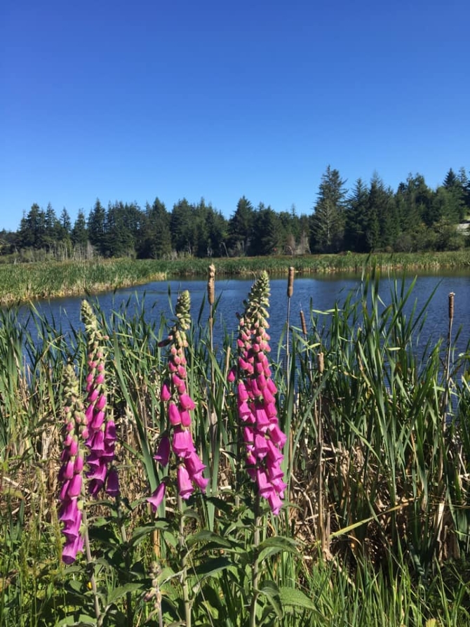 Bandon, Oregon LGBT Wedding Reception Venue - Bandon Crossings Golf Course