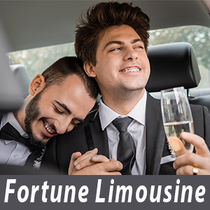 Montgomery County, PA LGBT Wedding Limousine Service