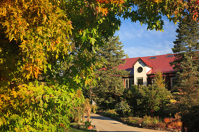 Fall foliage at Glasbern Fogelsville, PA