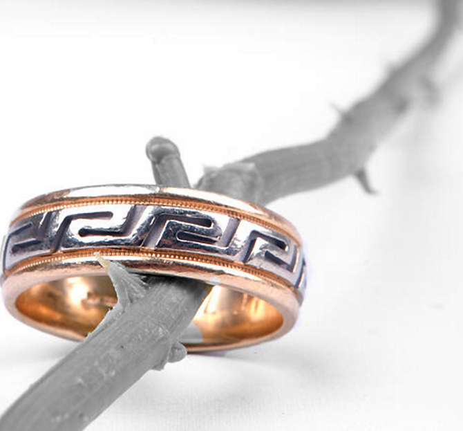 Hartshorn Studios Greenville, South Carolina LGBT Wedding Photographer ring on stem