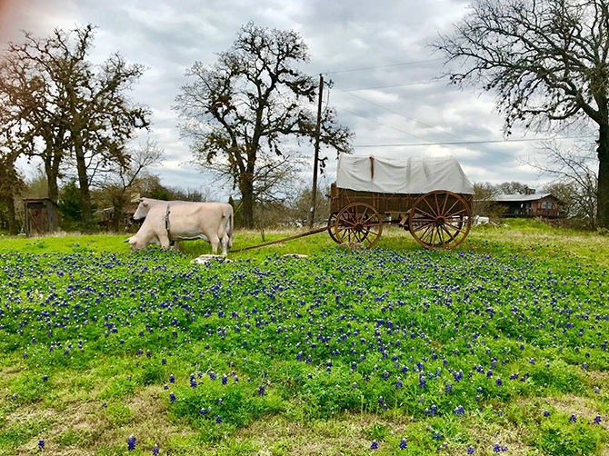 - Barons CreekSide Fredericksburg, Texas LGBT Wedding Receptions and LGBT-Friendly Accommodations