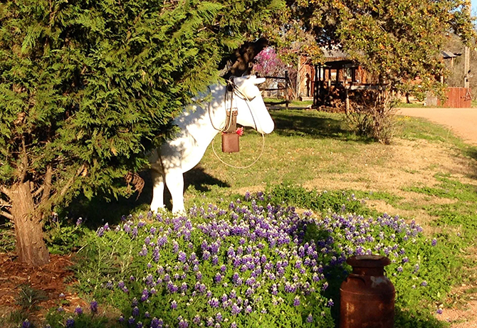 - Barons CreekSide Fredericksburg, Texas LGBT Wedding Receptions and LGBT-Friendly Accommodations