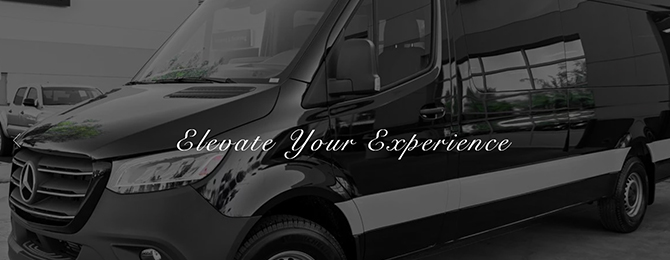 - Dallas, Texas LGBT Wedding Limousine Service - Platinum Unlimited Transportation