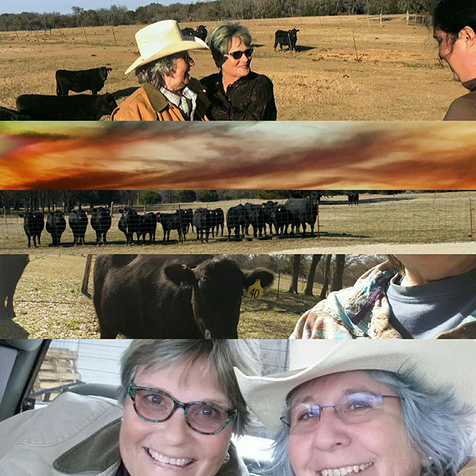 Lesbian Ranch Wedding - Dallas Fort Worth - Texas LGBTQ Wedding Officiant - Running Reverend