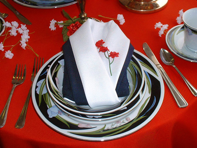 United Party Rental Center - Tuxedo linen napkins