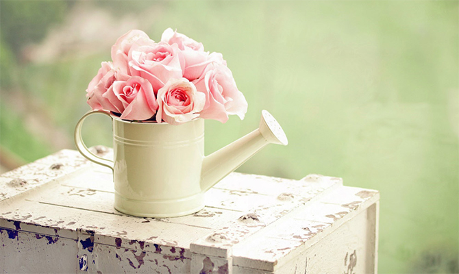 Va Va Bloom Florist Kingwood Texas