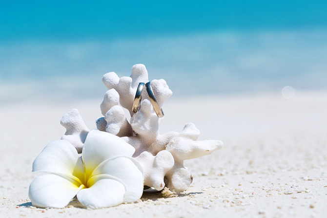 - LGBT Destination Weddings, Honeymoons and Travel - Your Favorite Travels