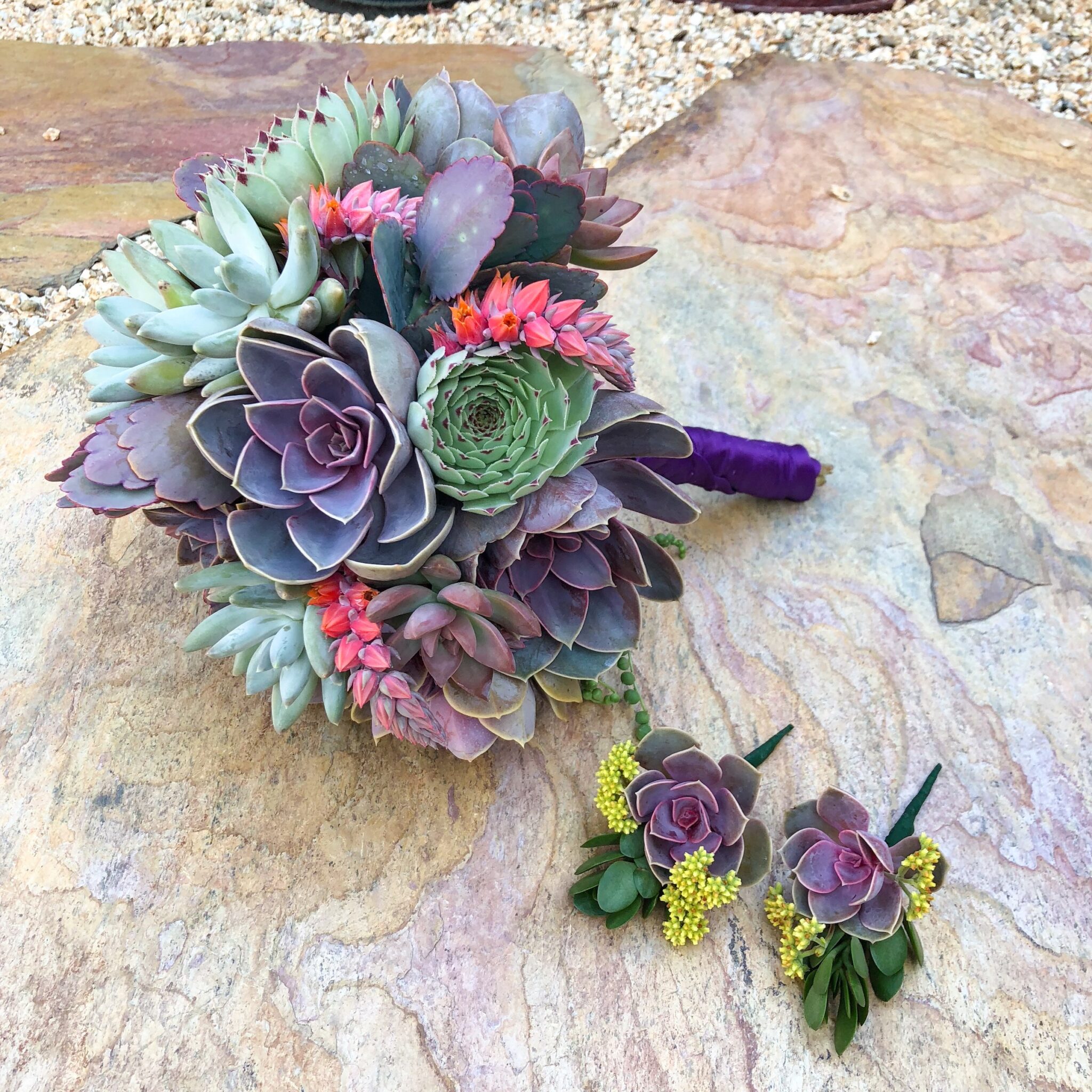 Succulent Wedding Decor and wearable art succulent jewelry - Succulents for Hire Toni Sicola
