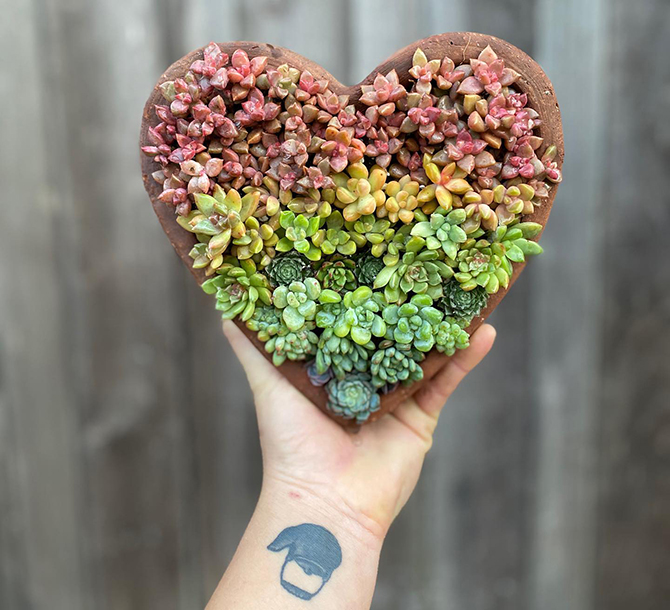 Succulent Wedding Decor and wearable art succulent jewelry - Succulents for Hire Toni Sicola