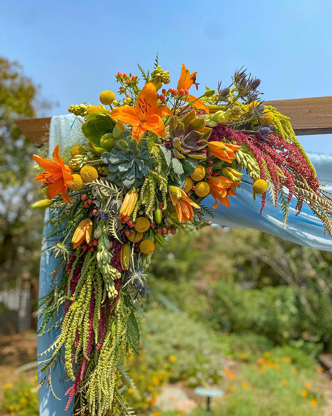 Succulent Wedding Decor and wearable art succulent jewelry - Succulents for Hire Toni Sicola