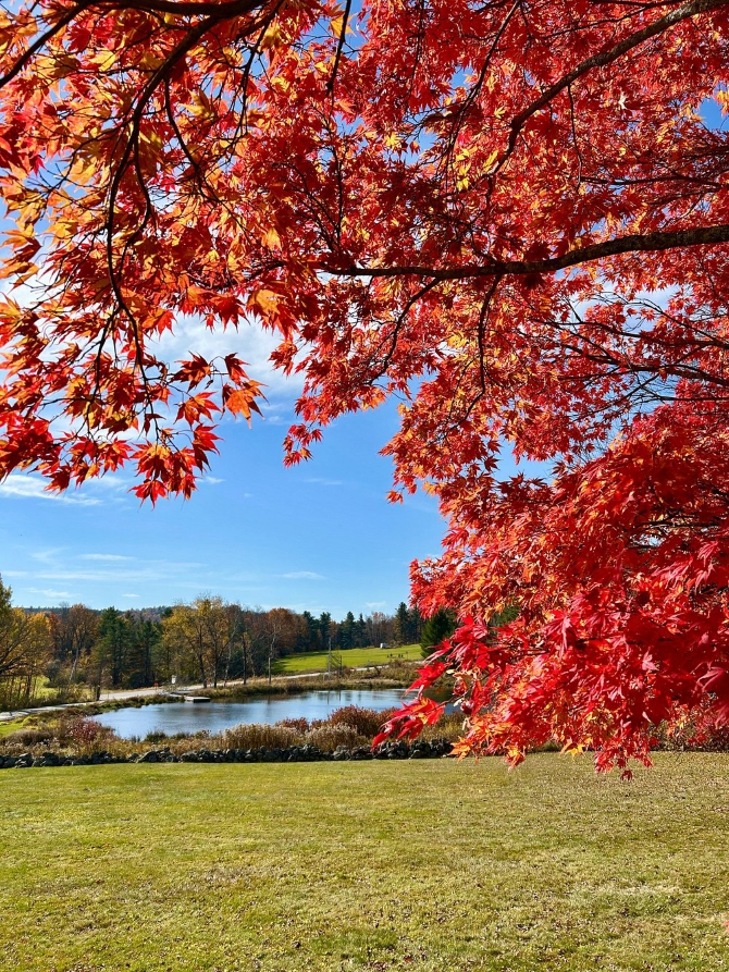 The Colonel Williams Inn 
Marlboro, Vermont LGBTQ Wedding Barn Venue & B&B 
Southern Vermont, Green Mountain
