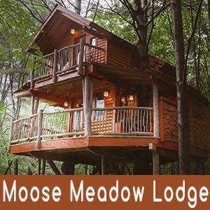 Vermont Gay Owned Bed and Breakfast - Log cabin