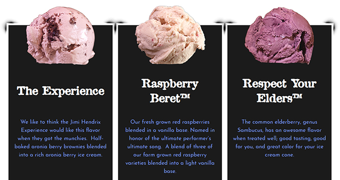 - Sisters of Anarchy Ice Cream Catering Company - Vermont, Massachusetts, New York